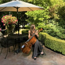 Victoria-Luxury Modern &amp; Classical Cello