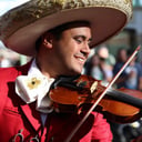 Violin by Michael Angel