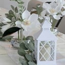 Wedding, birthday &amp; event planning