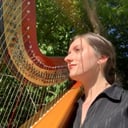 Where The Harp Is