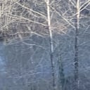 Winter Evening Events