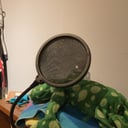 Yowk