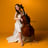Small thumbnail image for Amber Walton-Amar, cellist and string co-ordinator