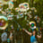 Small thumbnail image for Bubble Club