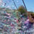 Small thumbnail image for Bubbles McGee