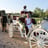 Small thumbnail image for Cavalier Carriage