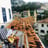Small thumbnail image for Diego Ahumada