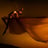 Small thumbnail image for Elevate Aerial Entertainment