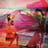 Small thumbnail image for Haukea Dance