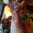 Small thumbnail image for Heavenly  Henna  by  Leah
