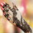 Small thumbnail image for Henna-Tattoos