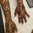 Small thumbnail image for Henna Artist