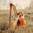 Small thumbnail image for Honeysuckle Harp
