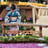 Small thumbnail image for Saeko Kujiraoka -Japanese Koto Music