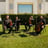 Small thumbnail image for Latin String Quartet