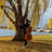 Small thumbnail image for Marco Rose