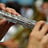 Small thumbnail image for Music For Your Service
