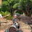 Small thumbnail image for Paul Marcus Jazz