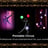 Small thumbnail image for Professional Circus Entertainment