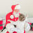 Small thumbnail image for Santa Mitch Kringle