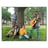 Small thumbnail image for Strings of Green