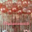 Small thumbnail image for Style Genie and Event Management