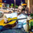 Small thumbnail image for Tom Morgan Acoustic Blues