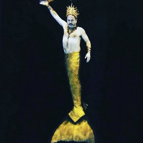 Hire Mertopia Entertainment - Mermaid Entertainment in Houston, TX ...