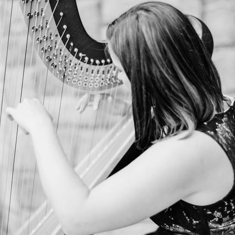 Hire Nicole McAllister, Harpist - Harpist in Charlotte, NC | GigSalad