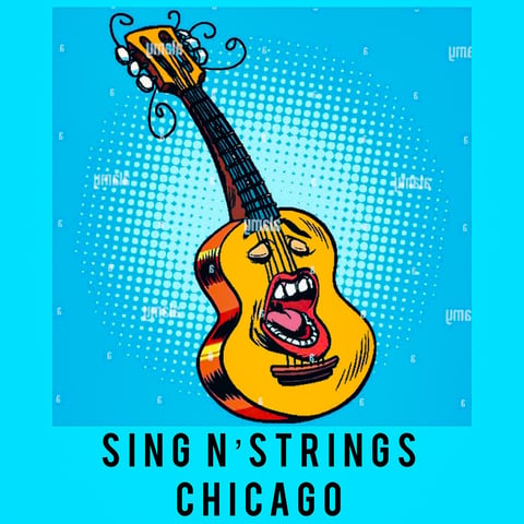 Hire Sing N'Strings Chicago - Acoustic Band in Schaumburg, IL | GigSalad