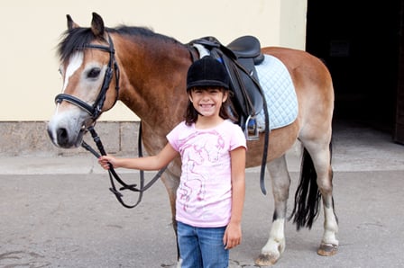 4 Essentials for a Fun Pony Party