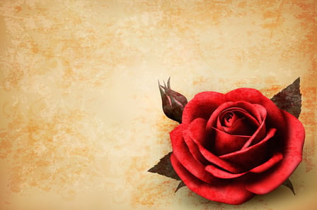 15 Enchanting Beauty and the Beast Party Ideas