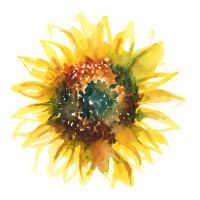 Small thumbnail image for reviewer Hannah W.