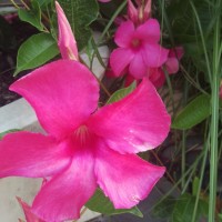 Small thumbnail image for reviewer S M.