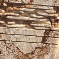 Small thumbnail image for reviewer Wilene D.