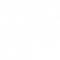 Small thumbnail image for reviewer Steve W.