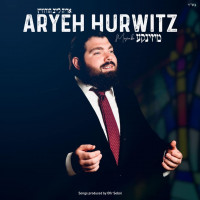 Small thumbnail image for reviewer Aryeh H.