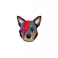 Small thumbnail image for reviewer Vanessa C.