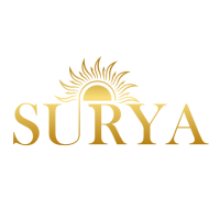 Small thumbnail image for reviewer Ankit P.