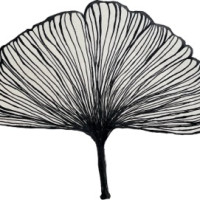 Small thumbnail image for reviewer Abigail S.