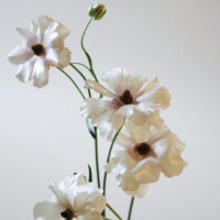 Small thumbnail image for reviewer Jenn M.