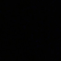 Small thumbnail image for reviewer Randi Z.